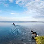 Seaside Escape With Pool - By Traum * Ørsted