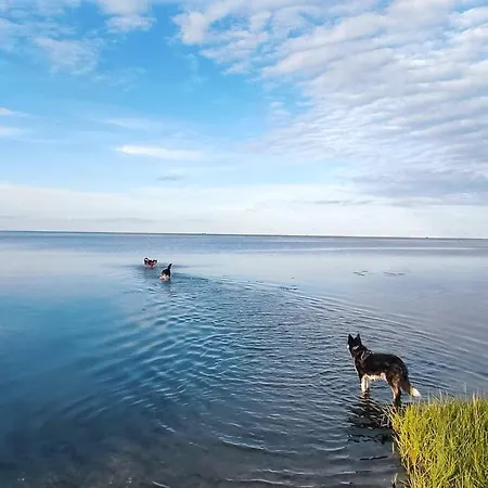 Seaside Escape With Pool - By Traum * Ørsted